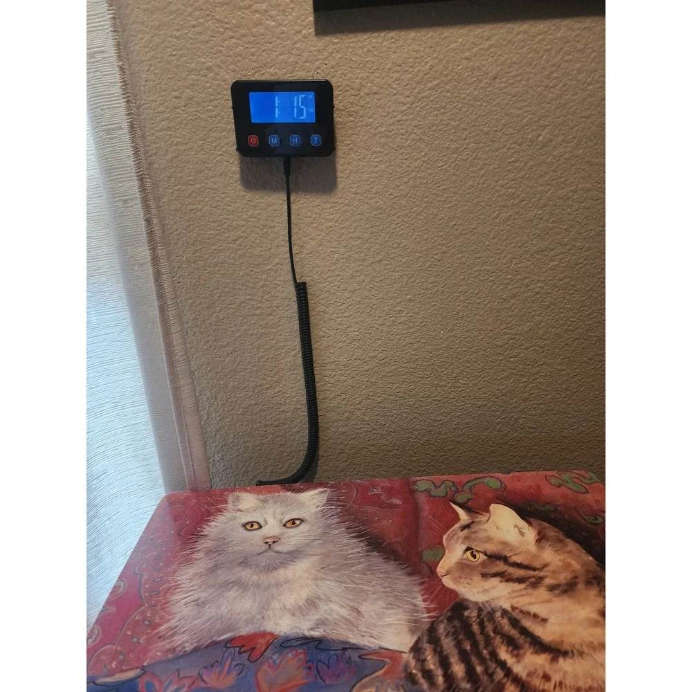 Vtg Cat Cork Backed Mat/Art White Persian & Tabby 17x11.5 Kitchy/Frame as Pic.